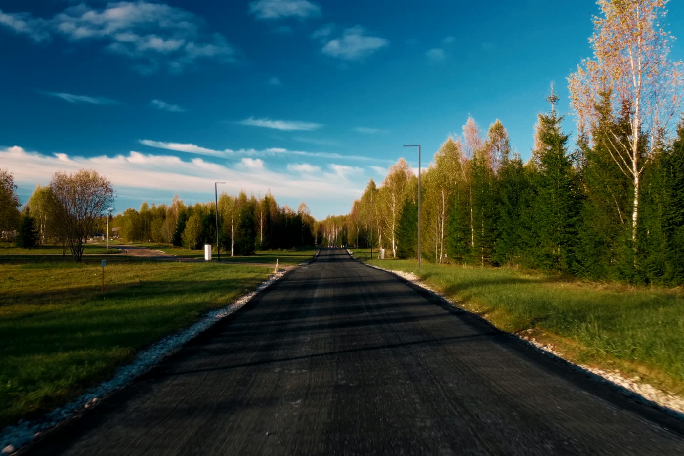 Дорога к поселку вдоль леса