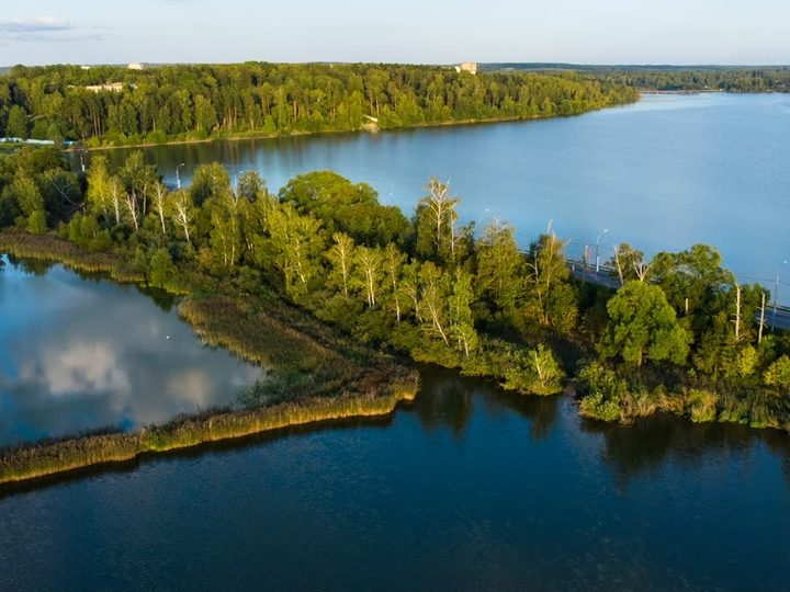 Озеро Сенеж и лес с высоты